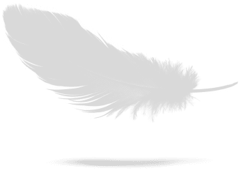 Feather